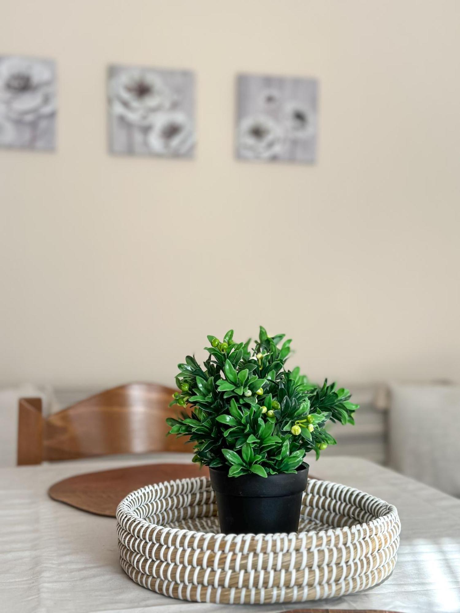 Ground Apartment Alexandrúpoli Kültér fotó